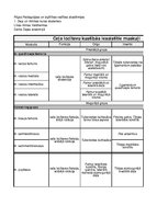 Konspekts 'Ceļa locītavu kustībās iesaistītie muskuļi', 1.