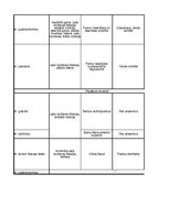 Konspekts 'Ceļa locītavu kustībās iesaistītie muskuļi', 2.