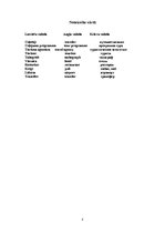 Referāts 'Ceļojuma (Rīga - Karakasa - Slovēnija - Rīga) "Dabas vilinājums" vērtības aprēķi', 3.