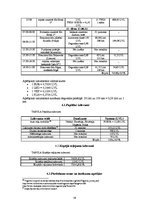 Referāts 'Ceļojuma (Rīga - Karakasa - Slovēnija - Rīga) "Dabas vilinājums" vērtības aprēķi', 29.