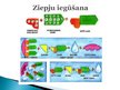 Prezentācija 'Tīrīšanas un mazgāšanas līdzekļi', 9.