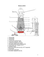 Referāts 'Dzelzs', 7.