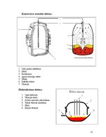 Referāts 'Dzelzs', 10.