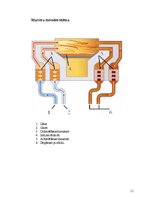 Referāts 'Dzelzs', 11.