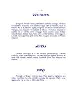 Referāts 'Dievi', 6.