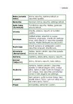 Konspekts 'Integrētā diena 4.klasei. Sēnes', 10.