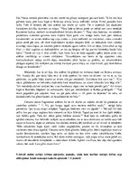 Konspekts 'Aleksandrs Grīns "Dvēseļu putenis"', 7.