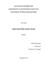 Referāts 'Spieķa kaula distālās metafīzes lūzumi', 1.