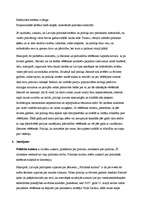 Konspekts 'Politoloģija', 3.