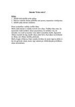 Referāts 'Mācību stundu paraugplāns', 4.