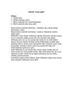 Referāts 'Mācību stundu paraugplāns', 8.