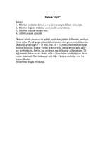 Referāts 'Mācību stundu paraugplāns', 9.