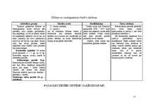 Konspekts 'Pasaules tiesību sistēmu raksturojums un salīdzinājums tabulās', 13.