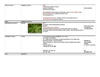 Konspekts 'Farmakoloģija. Audu metabolisms un attēli', 15.