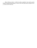 Konspekts 'Latvijas kultūras kanons', 3.