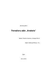 Biznesa plāns 'Biznesa plāns', 1.