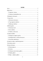 Biznesa plāns 'Biznesa plāns', 2.