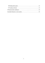 Biznesa plāns 'Biznesa plāns', 3.