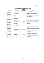 Biznesa plāns 'Biznesa plāns', 13.