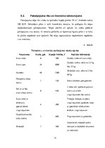 Biznesa plāns 'Biznesa plāns', 14.