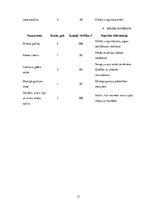 Biznesa plāns 'Biznesa plāns', 15.