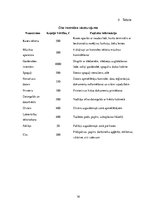 Biznesa plāns 'Biznesa plāns', 16.