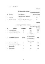 Biznesa plāns 'Biznesa plāns', 21.