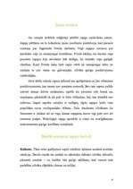 Konspekts 'Sapņi', 4.