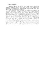 Referāts 'Būvniecība', 6.