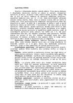 Referāts 'Būvniecība', 7.