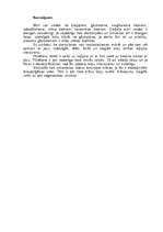 Referāts 'Būvniecība', 8.