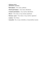 Referāts 'Būvniecība', 19.