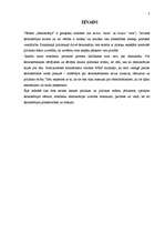 Referāts 'Demokrātija', 3.