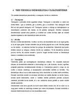 Referāts 'Demokrātija', 11.