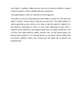 Konspekts 'Tiesību objekti', 8.