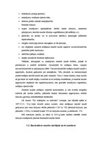 Konspekts 'Kapitāla vajadzības veidošana', 13.