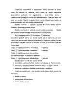 Konspekts 'Kapitāla vajadzības veidošana', 19.