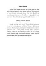 Referāts 'Sekmīgas intervijas sagatavošana un rakstīšana', 17.