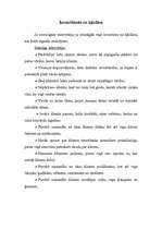 Referāts 'Sekmīgas intervijas sagatavošana un rakstīšana', 19.