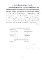 Referāts 'Viesu uzņemšana, naktsmītnes un sabiedriskā ēdināšana', 3.