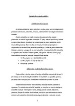 Referāts 'Valodas kultūras un sabiedrības daudzveidība', 7.