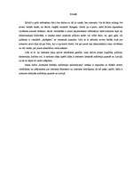 Referāts 'Interneta lietotāju auditorijas raksturojums', 2.