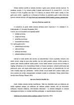 Referāts 'Interneta lietotāju auditorijas raksturojums', 6.