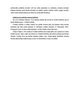 Referāts 'Interneta lietotāju auditorijas raksturojums', 8.