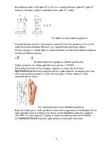 Konspekts 'Kaulu biomehānika', 4.