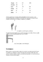 Konspekts 'Kaulu biomehānika', 8.