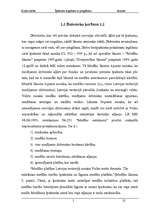 Referāts 'Īpašuma iegūšana ar piegūšanu', 7.