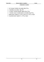 Referāts 'Īpašuma iegūšana ar piegūšanu', 22.