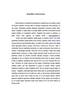 Referāts 'Disgrāfija', 2.