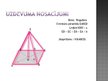 Prezentācija 'Regulāras četrstūra piramīdas tilpuma aprēķināšana', 3.